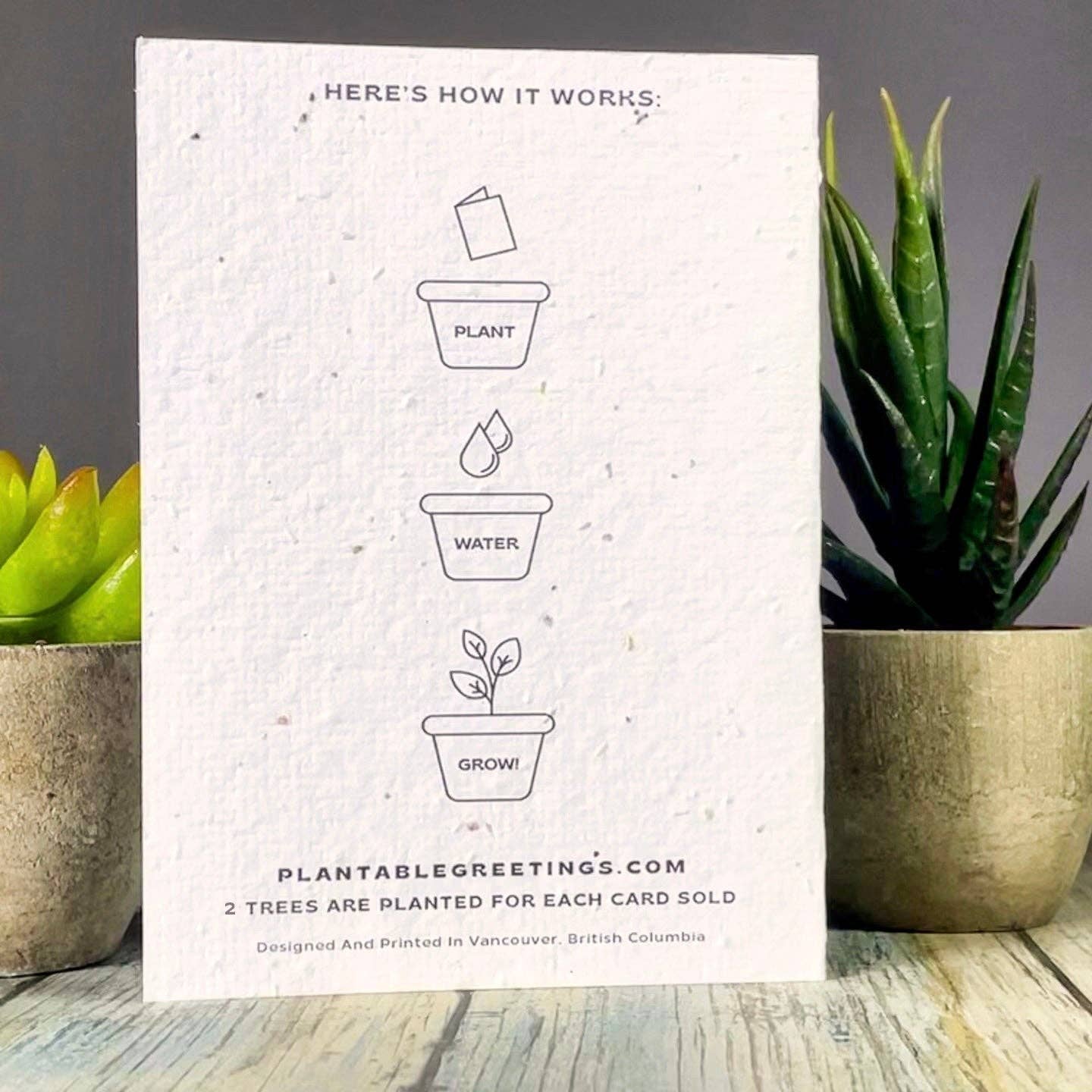 Plantable Greetings - A Little Cheesy, But Still Grate Plantable Greeting Card: Wildflowers