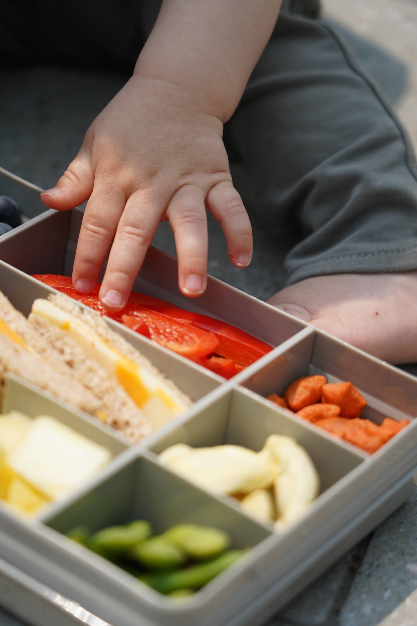 melii - Snackle Box, Divided Snack Container with 12 Compartments: Pink